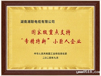 国家级专精特新“小巨人”企业