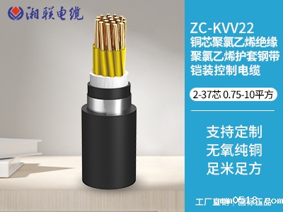 铜芯聚氯乙烯绝缘聚氯乙烯护套钢带铠装控制电缆