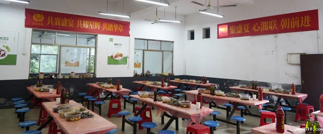 末伏迎老板节，伟德BETVlCTOR官网邀请全体员工共享海鲜盛宴！