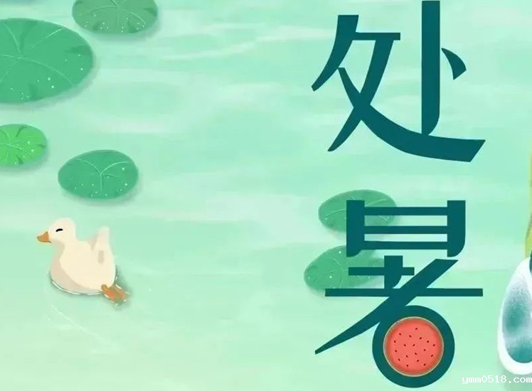 处暑 | 暑气渐消，守护不止！