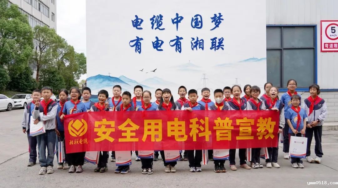 校企联动|伟德BETVlCTOR官网开展青少年安全用电科普宣教活动