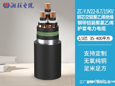 立式电缆是什么意思